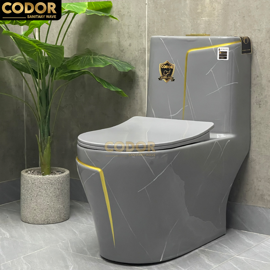 bồn cầu 1 khối xám viền vàng