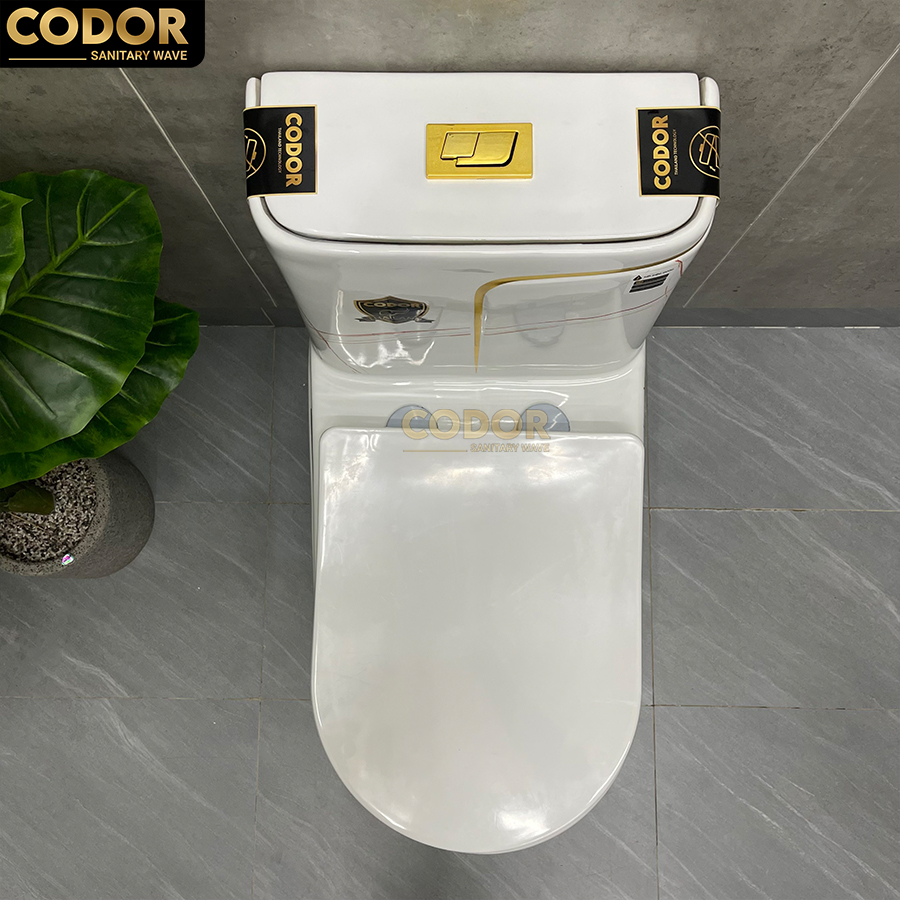 bồn cầu 1 khối trắng viền vàng