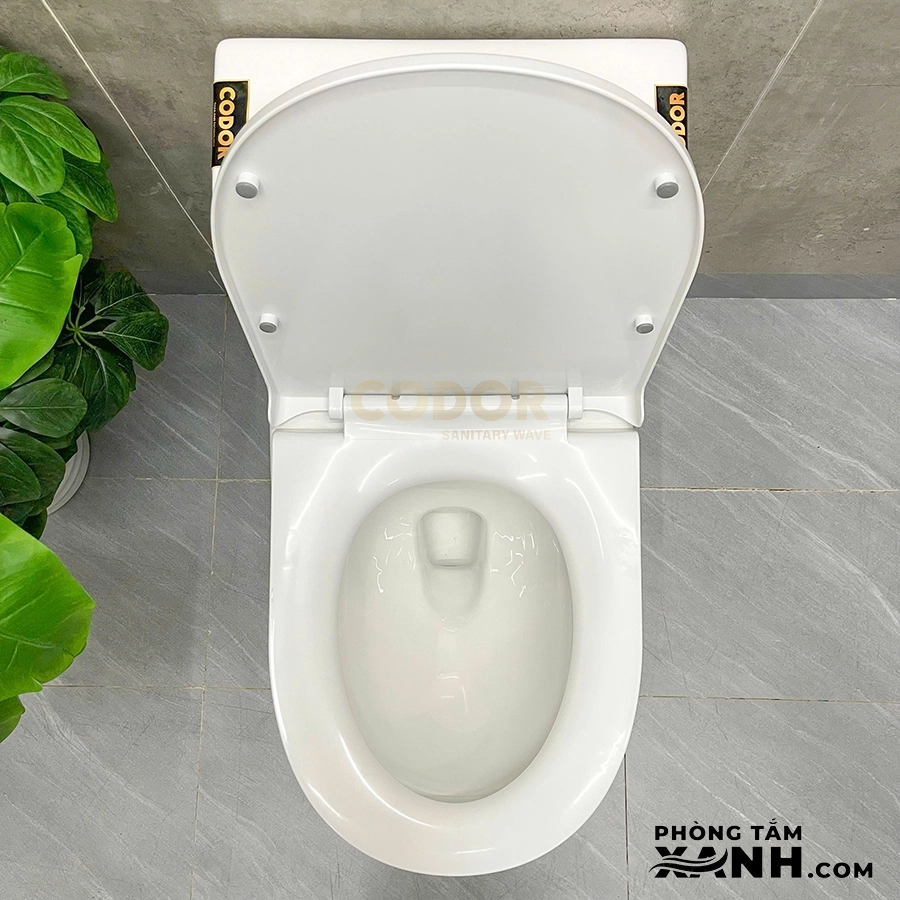 Bồn Cầu 1 Khối Thân Lùn Nút Xả Lệch BC-09