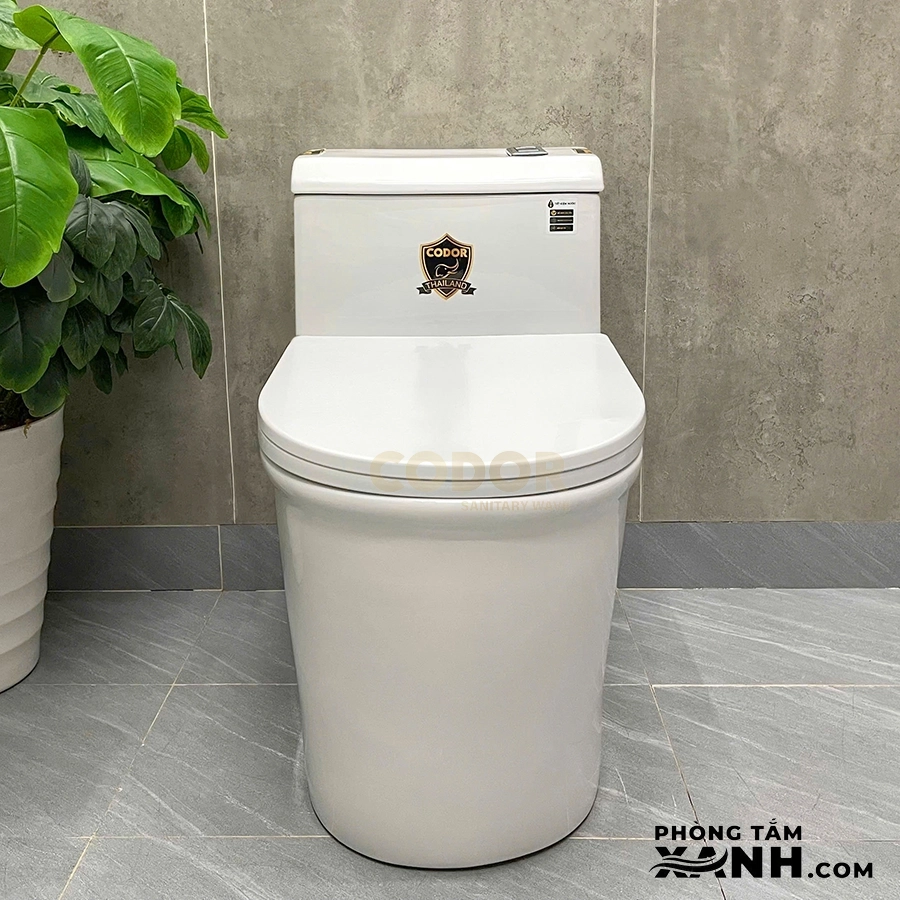 Bồn Cầu 1 Khối Thân Lùn Nút Xả Lệch BC-09