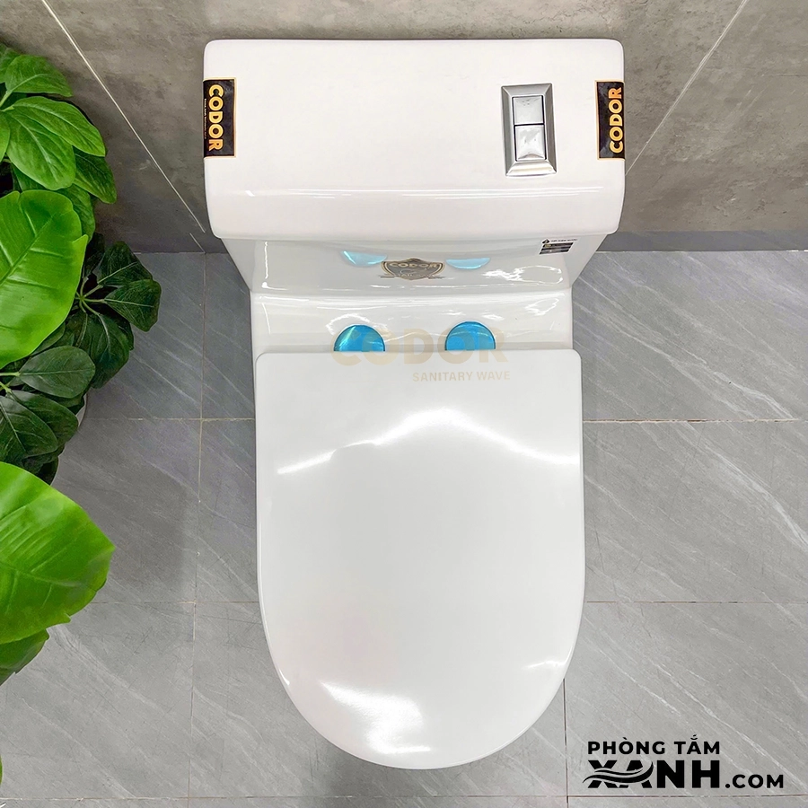 Bồn Cầu 1 Khối Thân Lùn Nút Xả Lệch BC-09