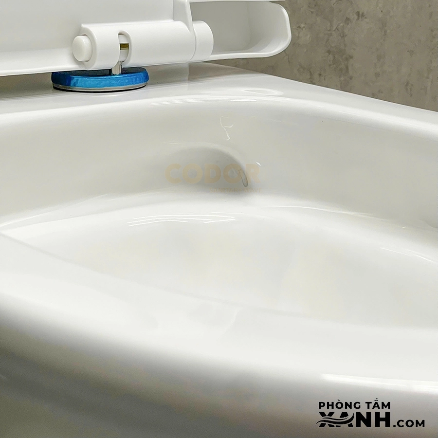 Bồn Cầu 1 Khối Thân Lùn Nút Xả Lệch BC-09